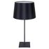 Купить Настольная лампа Lussole Lgo GRLSP-0519