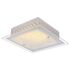 Купить Потолочный светодиодный светильник Globo Heidir 49349