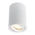 Купить Потолочный светильник Arte Lamp A1560PL-1WH