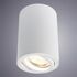 Купить Потолочный светильник Arte Lamp A1560PL-1WH, фото 2