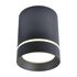 Купить Потолочный светодиодный светильник Arte Lamp A1909PL-1BK
