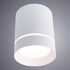 Купить Потолочный светодиодный светильник Arte Lamp A1909PL-1WH, фото 2