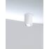 Купить Потолочный светильник Maytoni Alfa C016CL-01W, фото 3