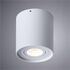 Купить Потолочный светильник Arte Lamp Falcon A5645PL-1WH, фото 3