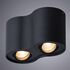 Купить Потолочный светильник Arte Lamp Falcon A5645PL-2BK, фото 2
