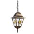 Купить Уличный подвесной светильник Arte Lamp Berlin A1015SO-1BN