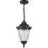 Купить Уличный подвесной светильник Feron Вильнюс PL585 41166