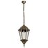 Купить Уличный подвесной светильник Arte Lamp Genova A1204SO-1BN