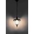 Купить Уличный подвесной светильник Feron Флоренция PL4044 11424, фото 2
