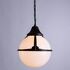 Купить Уличный подвесной светильник Arte Lamp Monaco A1495SO-1BK, фото 3