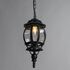 Купить Уличный подвесной светильник Arte Lamp Atlanta A1045SO-1BG, фото 2