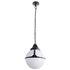 Купить Уличный подвесной светильник Arte Lamp Monaco A1495SO-1BK