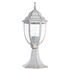 Купить Уличный светильник Arte Lamp Pegasus A3151FN-1WG