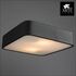 Купить Потолочный светильник Arte Lamp Cosmopolitan A7210PL-2BK, фото 3