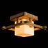 Купить Потолочный светильник Arte Lamp 95 A8252PL-1BR, фото 2