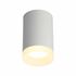 Купить Потолочный светильник Omnilux Rotondo OML-100709-01