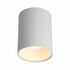 Купить Потолочный светильник Omnilux Cariano OML-101209-01
