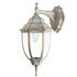 Купить Уличный настенный светильник Arte Lamp Pegasus A3152AL-1WG