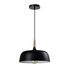 Купить Подвесной светильник Moderli V1271-1P Augustina 1*E27*60W, Варианты цвета: черный