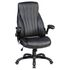 Купить Офисное кресло для руководителей DOBRIN WARREN (чёрный) черный/черный
