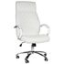 Купить Офисное кресло для руководителей DOBRIN BENJAMIN (белый) белый/хром