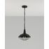 Купить Подвесной светильник Moderli V1390-1P West 1*E27*60W, Варианты цвета: черный, фото 4