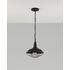 Купить Подвесной светильник Moderli V1390-1P West 1*E27*60W, Варианты цвета: черный, фото 3