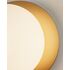 Купить Настенно-потолочный светильник Moderli V2058-P Covey 1*G9*5W, Варианты цвета: матовый, фото 6