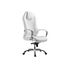 Купить Компьютерное кресло Damian white / satin chrome, Цвет: белый