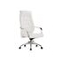 Купить Компьютерное кресло Sarabi white / satin chrome, Цвет: белый