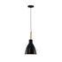 Купить Подвесной светильник Moderli V1281-1P Toni 1*E27*60W, Варианты цвета: черный