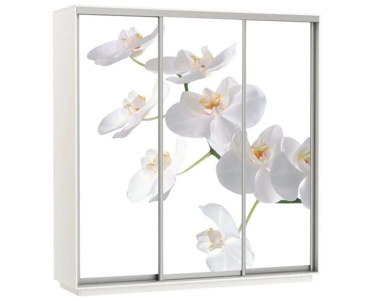 Купить Шкаф Экспресс Фото трио "Орхидея" белый снег, Размер Ш х В: 180 x 220