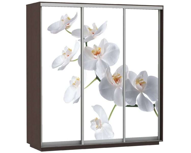 Купить Шкаф Экспресс Фото трио "Орхидея" венге, Размер Ш х В: 180 x 220