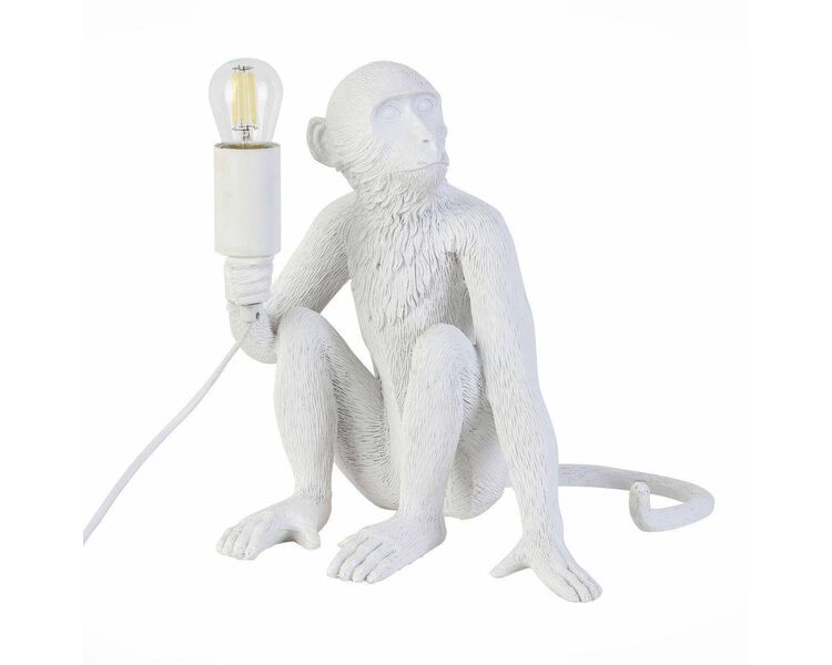 Купить Настольная лампа Evoluce Tenato SLE115104-01