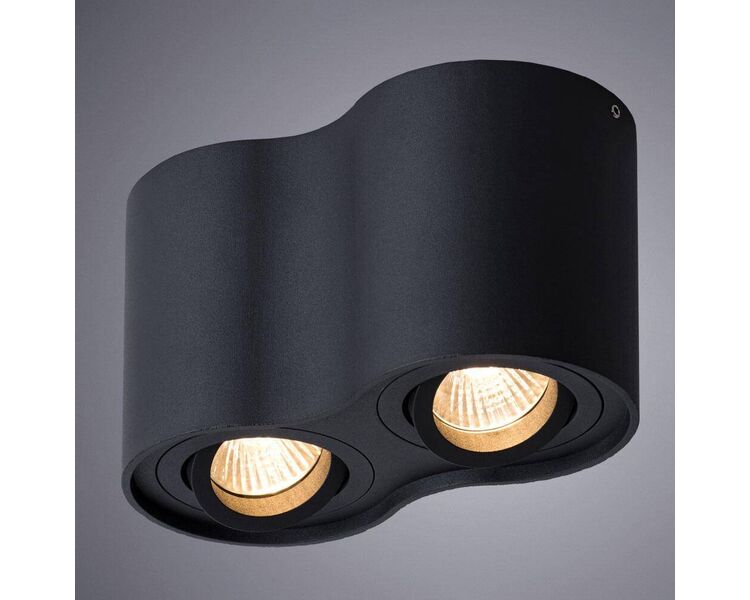 Купить Потолочный светильник Arte Lamp Falcon A5645PL-2BK, фото 2