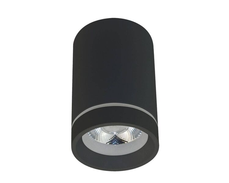 Купить Потолочный светодиодный светильник Aployt Edda APL.0053.19.10