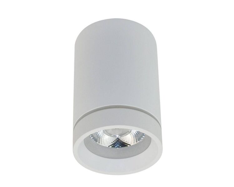 Купить Потолочный светодиодный светильник Aployt Edda APL.0054.09.10