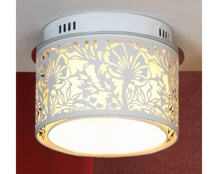 Купить Потолочный светильник Lussole Vetere LSF-2307-04, фото 2