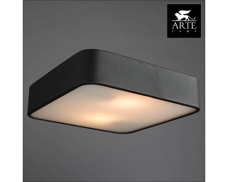 Купить Потолочный светильник Arte Lamp Cosmopolitan A7210PL-2BK, фото 3