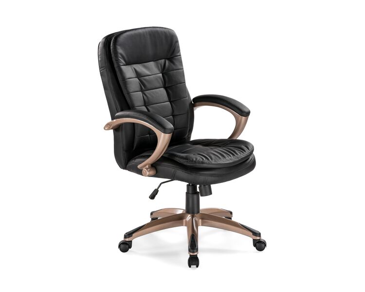 Купить Компьютерное кресло Palamos черный, коричневый, Цвет: черный, фото 2