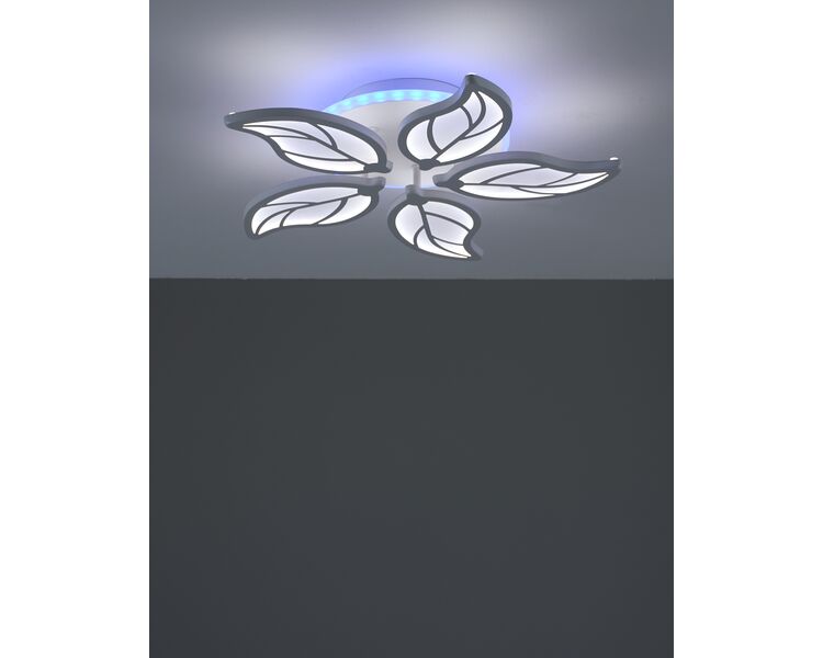 Купить Светильник потолочный светодиодный Moderli V10981-CL Amy, Модель: V10981-CL, фото 5