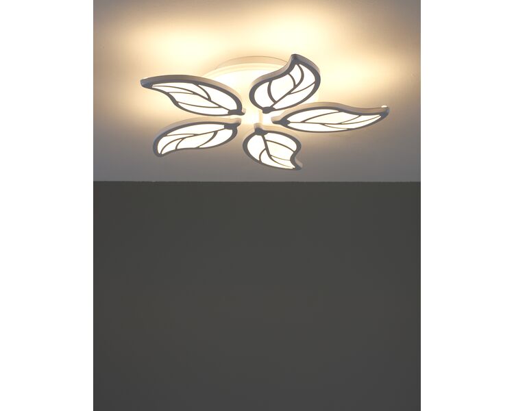Купить Светильник потолочный светодиодный Moderli V10981-CL Amy, Модель: V10981-CL, фото 6