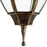 Купить Уличный подвесной светильник Arte Lamp Pegasus A3151SO-1BN, фото 4